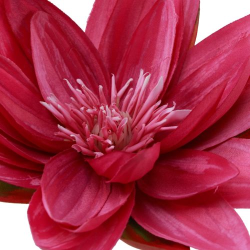 Artikel Schwimmende Seerose künstlich Tischdeko Fuchsia Ø15cm 2St - Exotische Dekoration