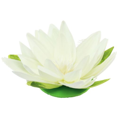 Floristik21 Seerose Künstliche Blume Schwimmende Tischdeko Cremeweiß Ø15cm 2St