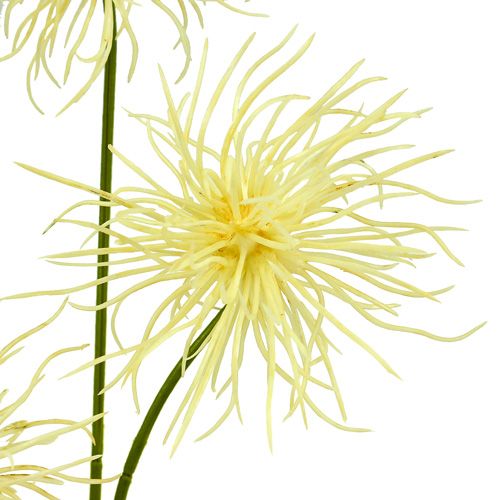 Artikel Seidenblumen Xanthium creme 63cm 4St