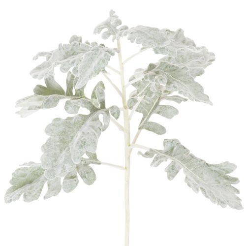 Artikel Künstlicher Senecio Zweig Silberblatt 45cm 3er-Set