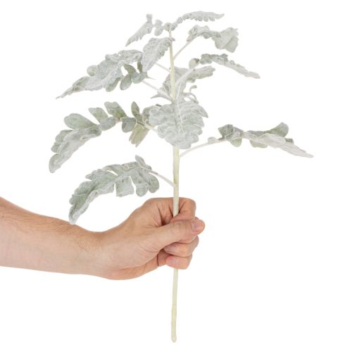 Artikel Künstlicher Senecio Zweig Silberblatt 45cm 3er-Set