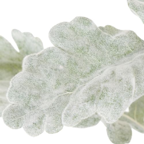 Künstlicher Senecio Zweig Silberblatt 45cm 3er-Set | Floristik21.de