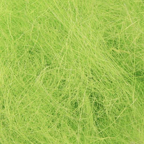 Floristik21 Sisal Frühlingsgrün Dekogras 300g