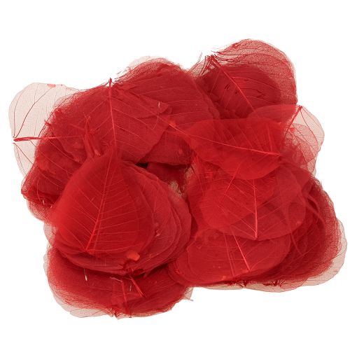 Artikel Skelettierte Bodhi-Deko-Blätter für Floristik und Basteln