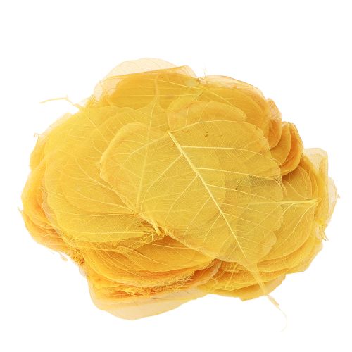 Artikel Skelettierte Bodhi-Blätter für kreative Dekorationen