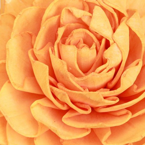 Artikel Sola Holzblumen Orange Deko Mix 6-11cm 12-15 Stück umweltfreundlich