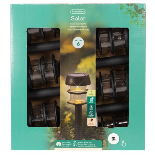 Solar-Gartenleuchte mit Erdspieß 35cm Schwarz LED-Set 6-teilig | Floristik21.de