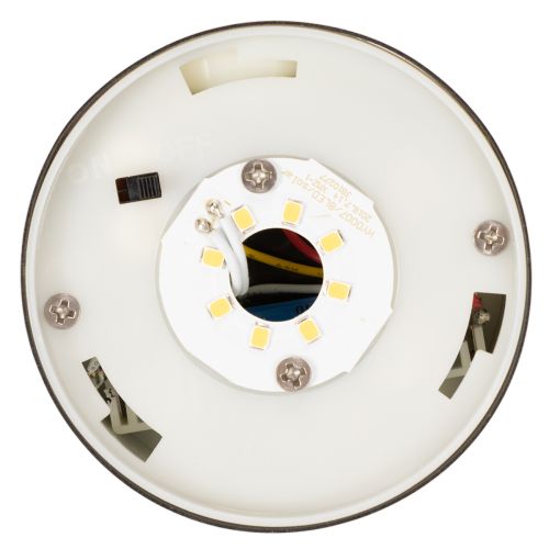 Solarleuchte mit Bewegungsmelder, LED, 34 cm, rostfreier Stahl, warmweiß | Floristik21.de