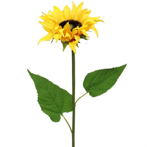 Langstielige Sonnenblume Gelb 53cm Langstielige Sonnenblume Gelb 53cm