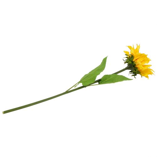 Langstielige Sonnenblume Gelb 53cm
