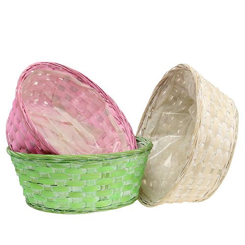 Floristik21 Spanschale rund mehrfarbig Ø25cm 6 St