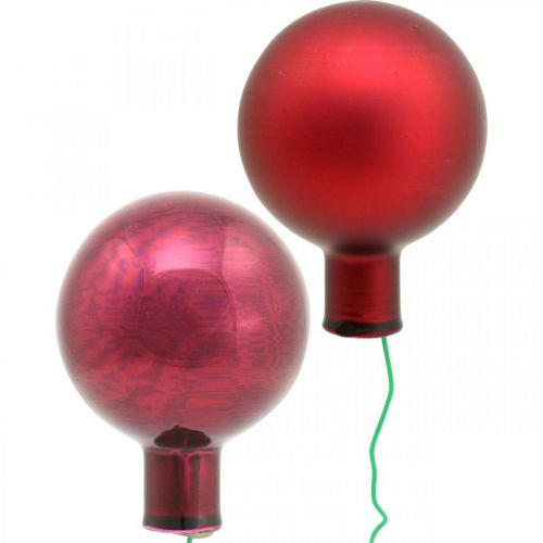 Floristik21 Mini Weihnachtskugel Rot, Pink Glas Spiegelbeeren Ø40mm 32St