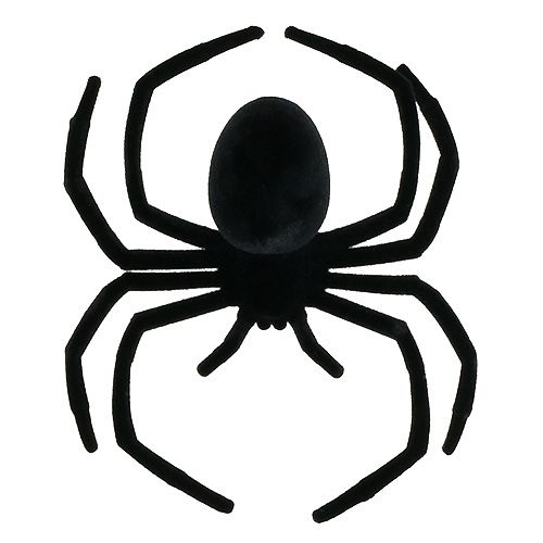 Floristik21 Spinne Schwarz 16cm beflockt