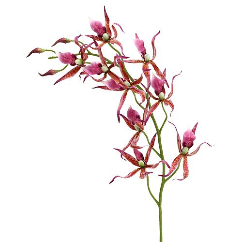 Floristik21 Spinnenorchideen Pink-Orange 108cm 3St