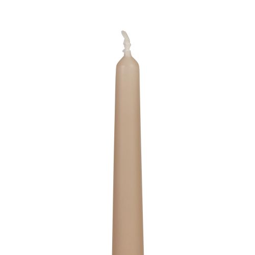Floristik21 Spitzkerzen Stabkerzen Wenzel Kerzen Beige 250/23mm 12 St