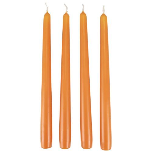 Floristik21 Spitzkerzen Stabkerzen Wenzel Kerzen Orange 250/23mm 12 St