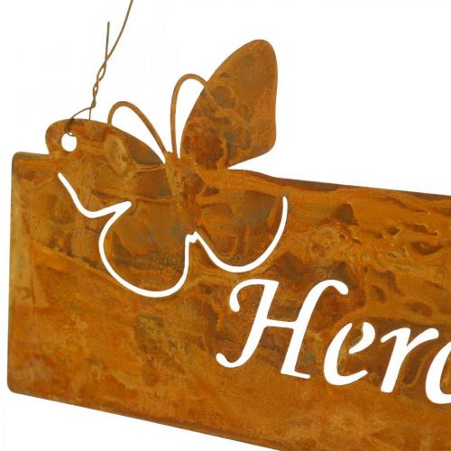 Floristik21 Dekoschild “Hereinspaziert”, Türdeko, Metallschild Schmetterling, Türschild Edelrost