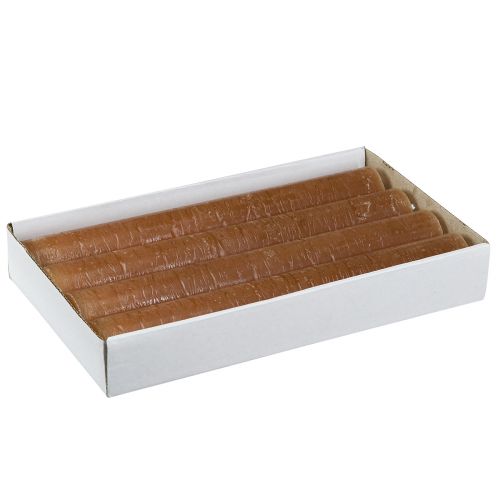 Artikel Stabkerzen Caramel-Farbe 34x240mm Langbrenner 4er Set für stilvolles Ambiente