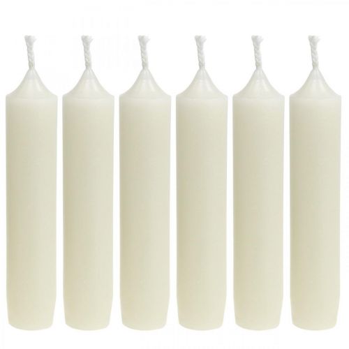 Floristik21 Stabkerzen kurz Kerzen Creme für Gestecke Ø22/110mm 6St