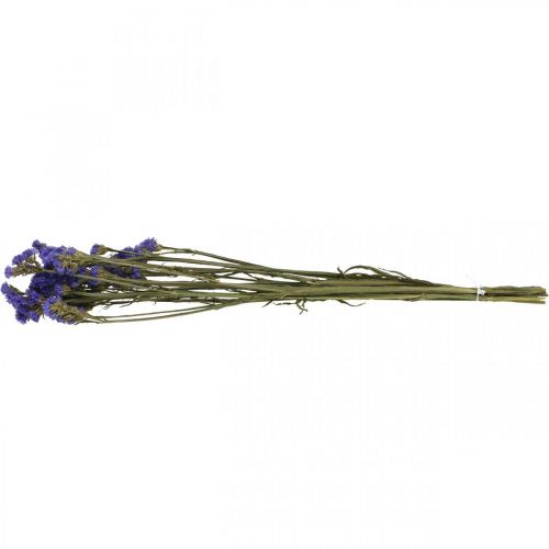 Floristik21 Strandflieder im Bund, Trockenblumen, Meerlavendel, Statice Tatarica Blau L46–57cm 23g