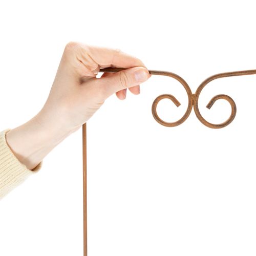 Artikel Rankgitter Metall Geschwungen 75cm Kletterpflanzen Beete Pflanztöpfe