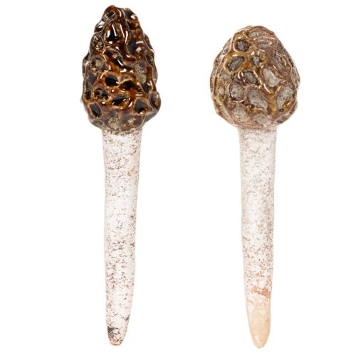 Künstlicher Morchel-Pilz Stecker Keramik 13cm Braun 2 Stück | Floristik21.de