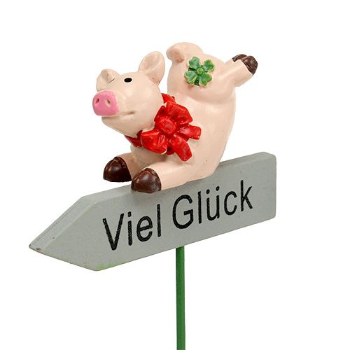 Floristik21 Stecker mit Spruch „Viel Glück“ 5cm x 7cm L23cm 12St