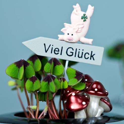 Artikel Stecker mit Spruch „Viel Glück“ 5cm x 7cm L23cm 12St