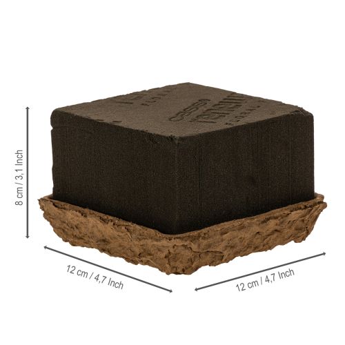 Artikel OASIS® Renewal® Floral Foam Biolit® Steckschaum, 1/2 Ziegel, braun, 12 x 12 x 8 cm, 2 Stück