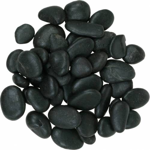 Floristik21 Flusskiesel Natur Schwarz 2-3cm 1kg