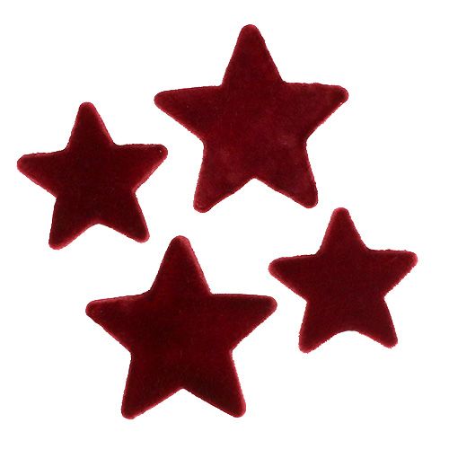 Floristik21 Weihnachtsdeko Sterne Bordeaux Beflockt Tischdeko 4–5cm 40St