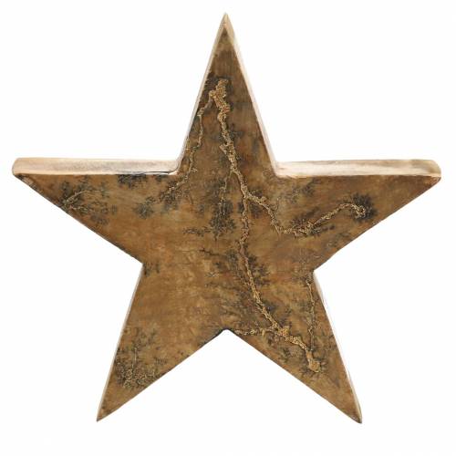 Weihnachtsstern stehend Mango Natur, Golden 20×20×3,5cm