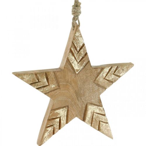 Artikel Stern Mangoholz Natur, Golden Holzstern Weihnachten 19,5cm 3 St