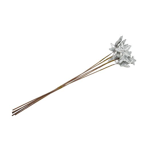 Floristik21 Sterne am Stab Silber 60cm 5St.