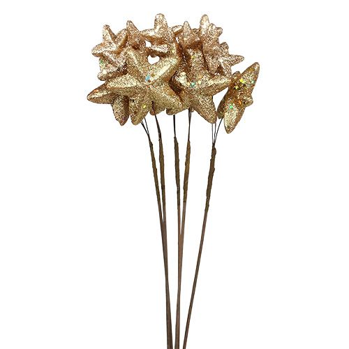 Floristik21 Sterne gebündelt mit Glitzer Gold 60cm 5St