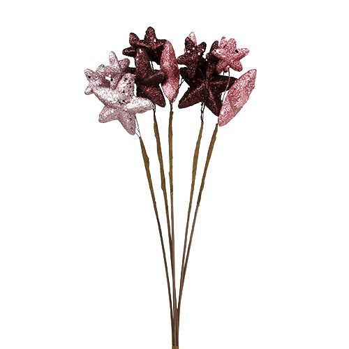 Sternenbündel mit Glitzer Rosa, Bordeaux 60cm 5St Sternenbündel mit Glitzer Rosa, Bordeaux 60cm 5St