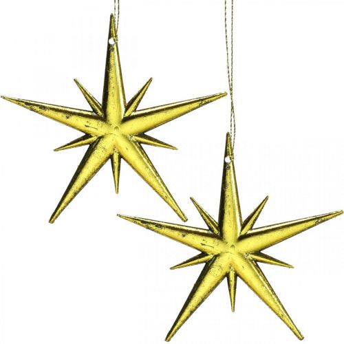 Floristik21 Weihnachtsdeko Stern Anhänger Golden B11,5cm 16St