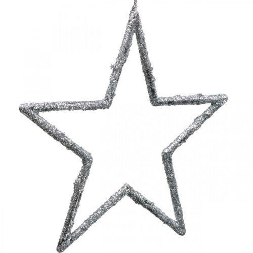 Floristik21 Stern zum Hängen, Christbaumschmuck, Deko Stern Silbern 11,5×12cm 12St