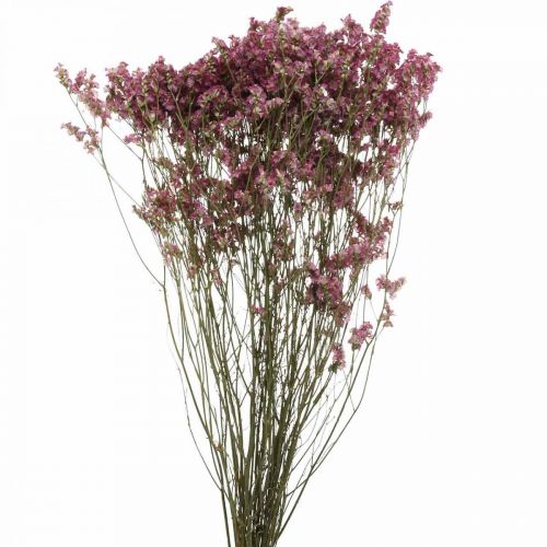 Floristik21 Statice, Strandflieder, Trockenblume, Wildblumen-Bund Pink L52cm 23g