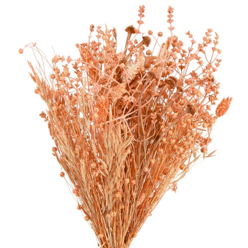 Floristik21 Strauß Trockenblumen Orange Apricot, Naturdeko Trockenstrauß 45cm 80g