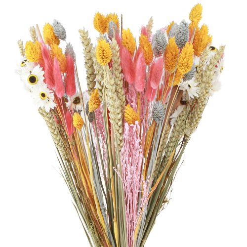 Floristik21 Strauß Trockenblumen Getreide Rosa Gelb Blau 55cm Deko