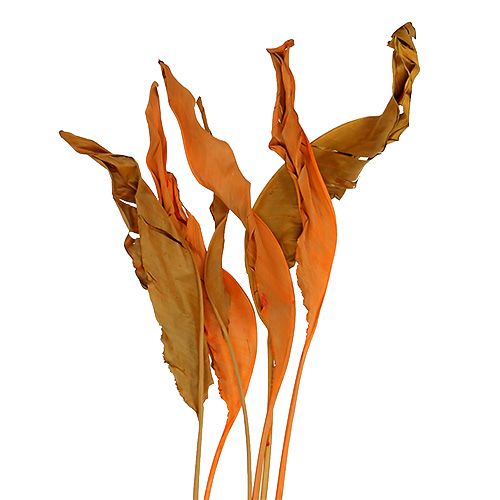 Strelitzienblätter Orange 120cm 20St