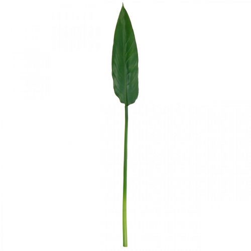 Floristik21 Strelitzie, Papageienblume, dekoratives Blatt, Strelitzien-Blatt Grün L81cm
