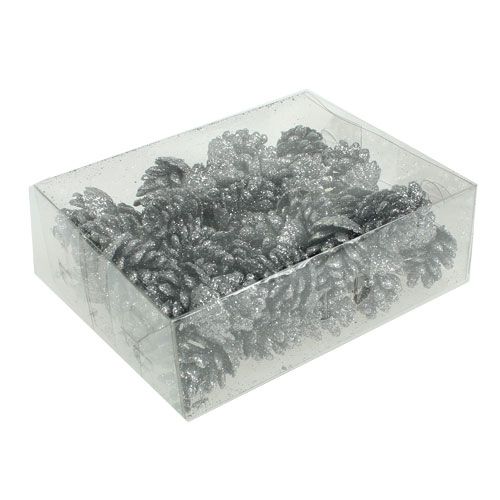 Floristik21 Zapfen Tannenzapfen Silber 3cm 48 St