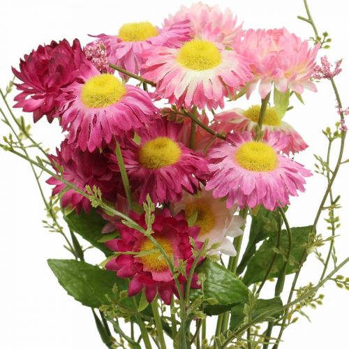 Artikel Rhodanthe Rosa-Pink, Seidenblumen, Kunstpflanze, Strohblumen-Bund L46cm