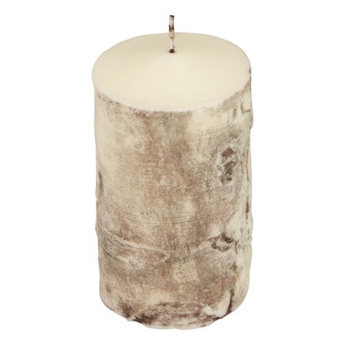 Floristik21 Stumpenkerze Baumrinde Kerze Birke Dekor Creme 140/80mm