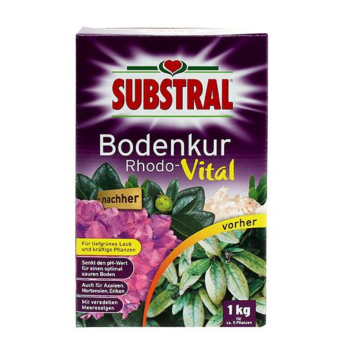 Floristik21 Substral Bodenkur Rhodo-Vital 1kg