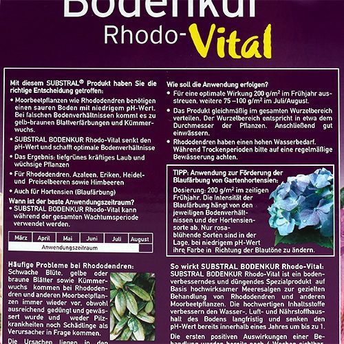 Floristik21 Substral Bodenkur Rhodo-Vital 1kg