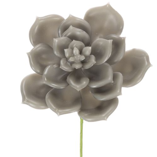 Künstliche Sukkulente aus Wachs mit Drahtkern, Grau-Grün, 8 cm Ø, Set à 8 Stück