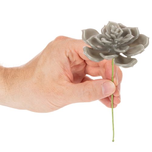 Künstliche Sukkulente aus Wachs mit Drahtkern, Grau-Grün, 8 cm Ø, Set à 8 Stück | Floristik21.de